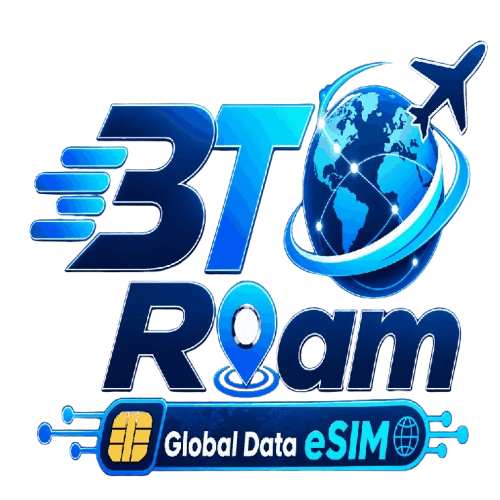 3T Roam Logo